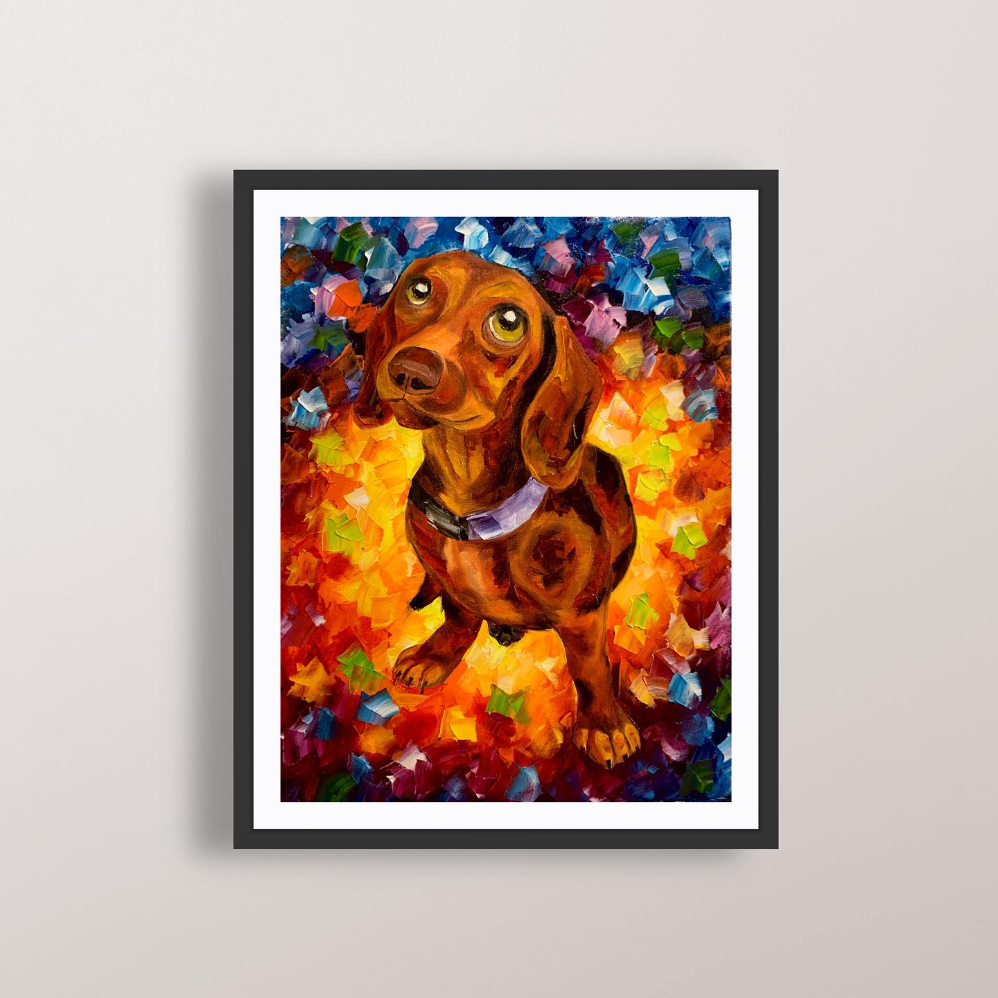 Vibrant Dachshund